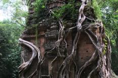 Private two days from Phnom Penh to Siem Reap Road Tours - sambor-prek-kuk-group.JPG